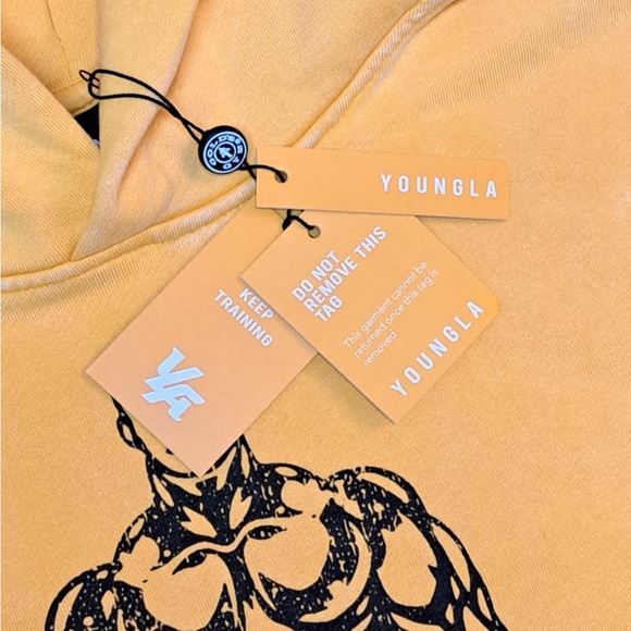 YoungLA x Gold's Gym - 5152 - Golds Gym New Age Pullover  Hoodie - SIZE SMALL - Picture 5 of 11